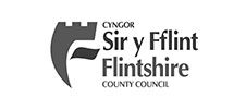 Flintshire Council
